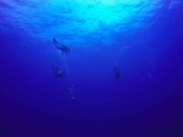 Quels sont les avantages d'un club associatif de plongée ?