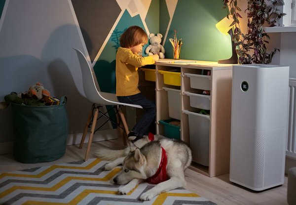 Purificateur d'air  : pour le bien-être de toute la famille